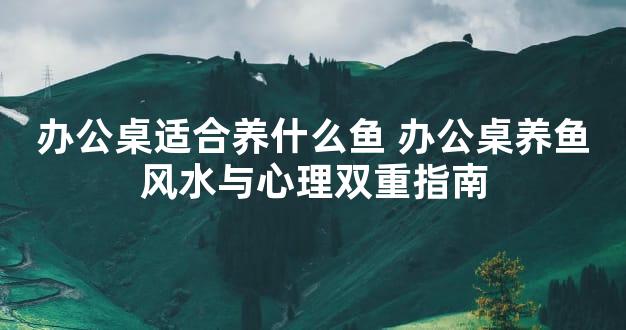 办公桌适合养什么鱼 办公桌养鱼风水与心理双重指南